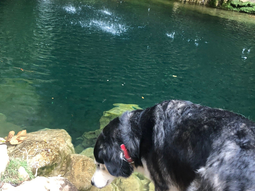 Masia La Posada Del Rio Carbo主图