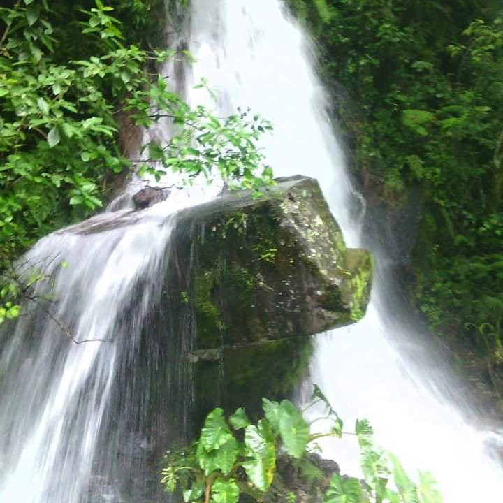 乞力马扎罗区旅游攻略图片