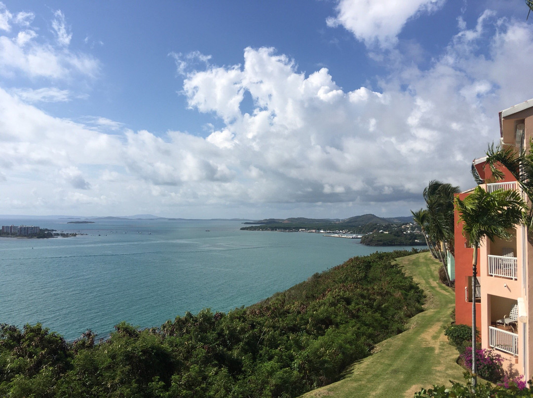 Island Breeze Taxi-Ceiba必去景点