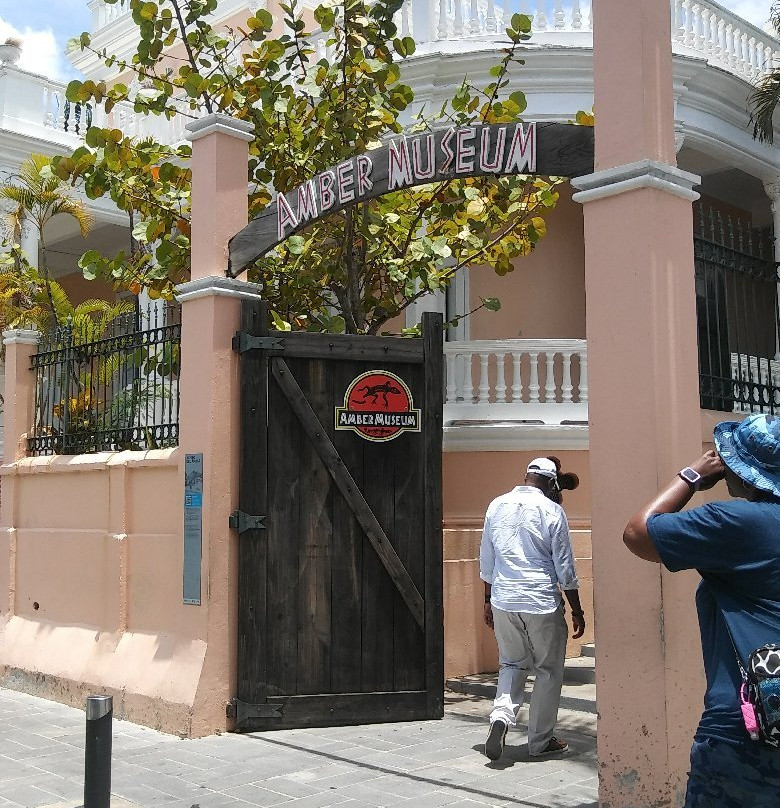 Dominican Quest - Tours-圣多明哥必去景点