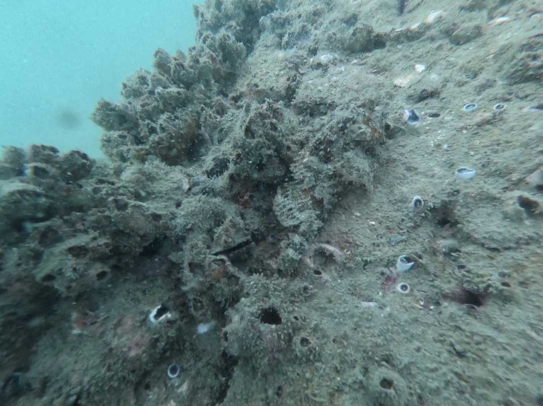 兰卡威水肺潜水中心景点图片