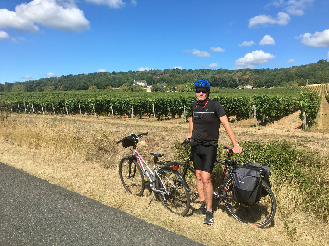 Saumur Bike Hire景点图片
