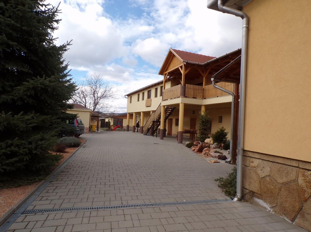 Ezustfenyo Vendeghaz主图