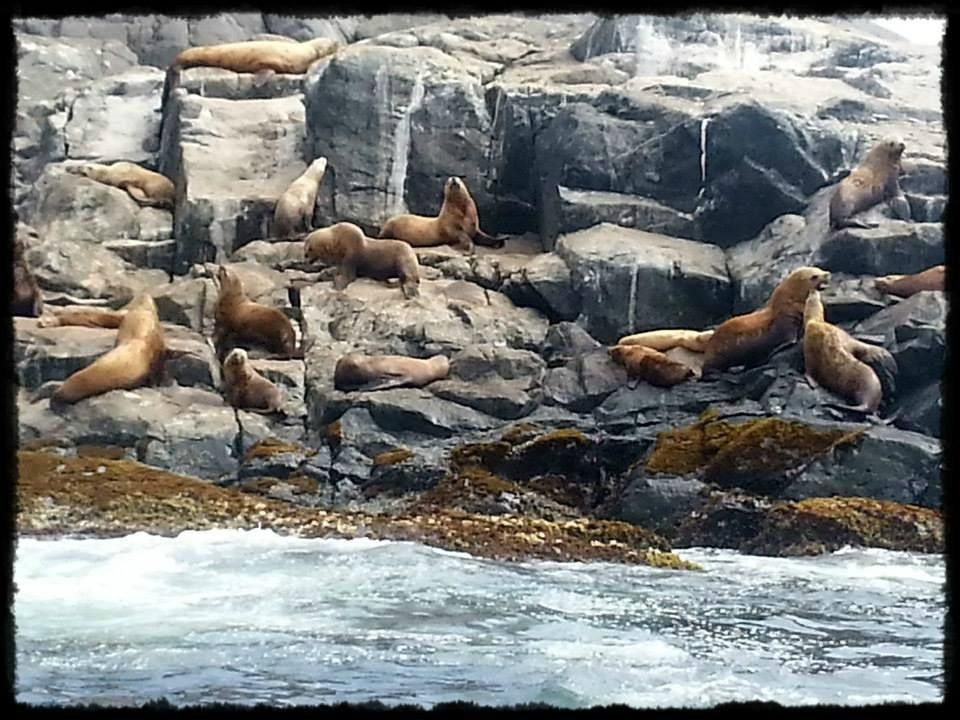 Gods Pocket Marine Provincial Park景点图片