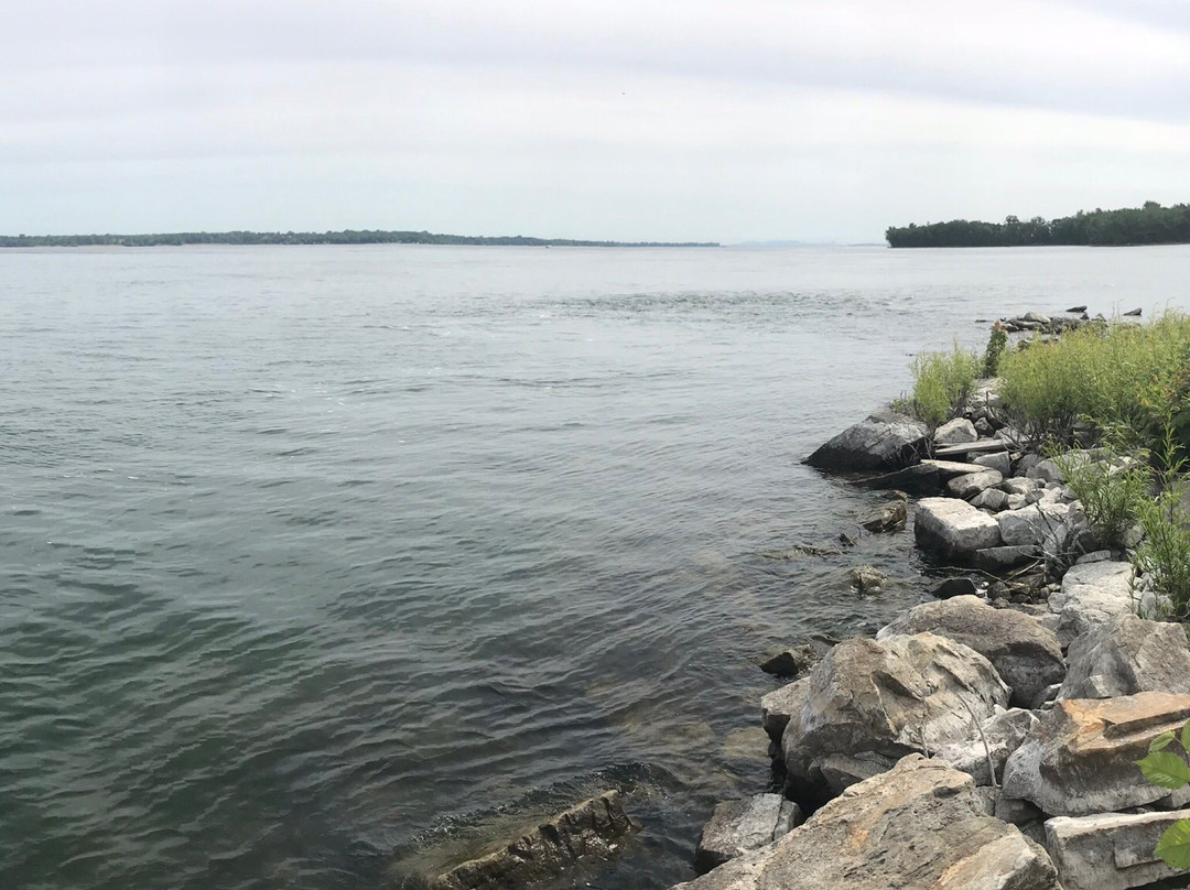 Freshwater Phil-蒙特利尔必去景点