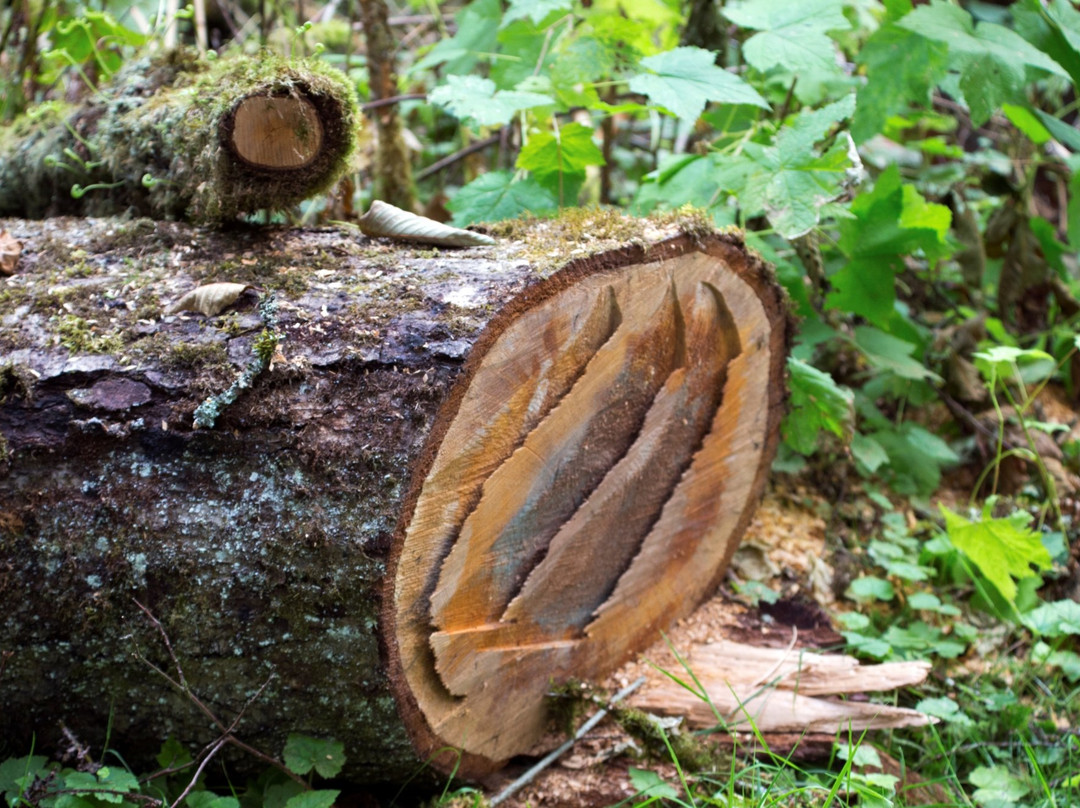Derby Reach Regional Park Heritage Area
