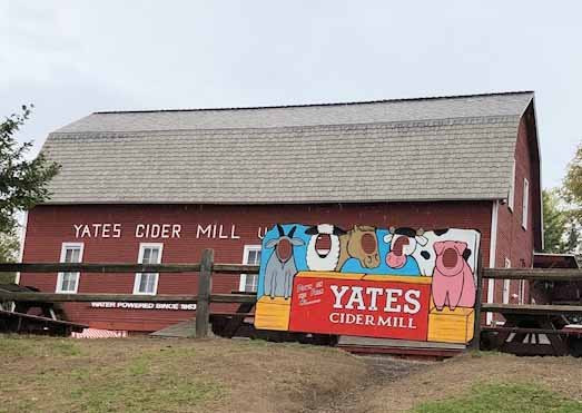 Yates Cider Mill-罗切斯特山必去景点