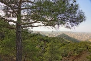 Troodos Mountains景点图片