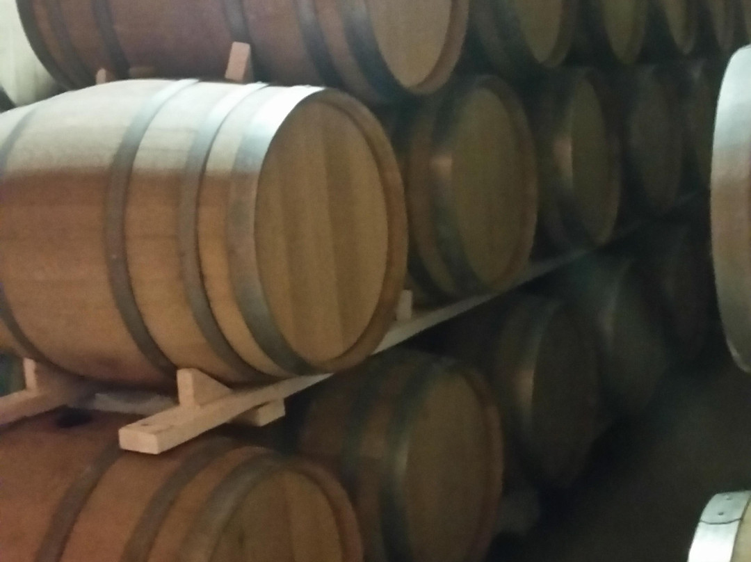 Baja Wine And Dine景点图片