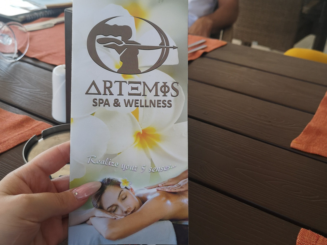 Artemis Spa in Casa De Maris Hotel景点图片
