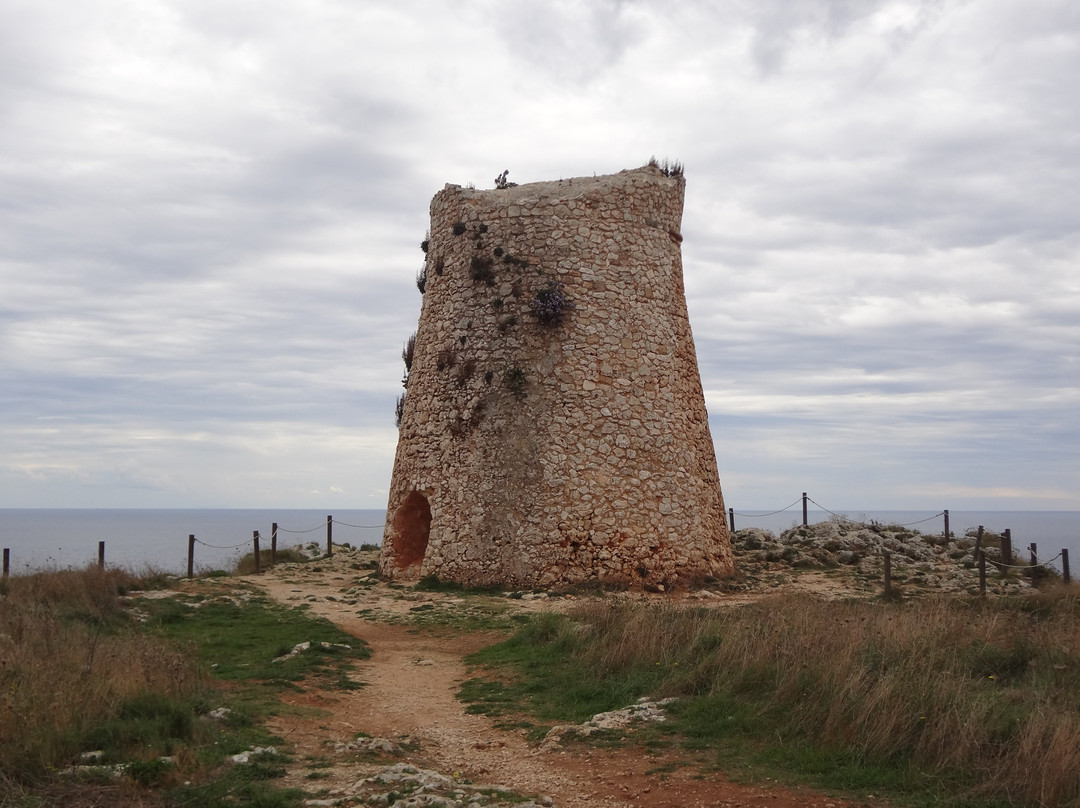 Torre Minervino景点图片