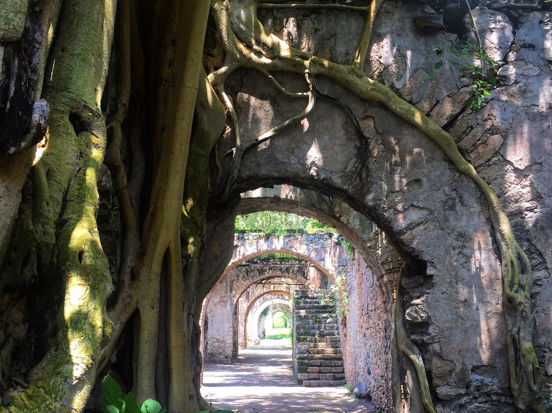 Ex Hacienda de Ixtoluca景点图片