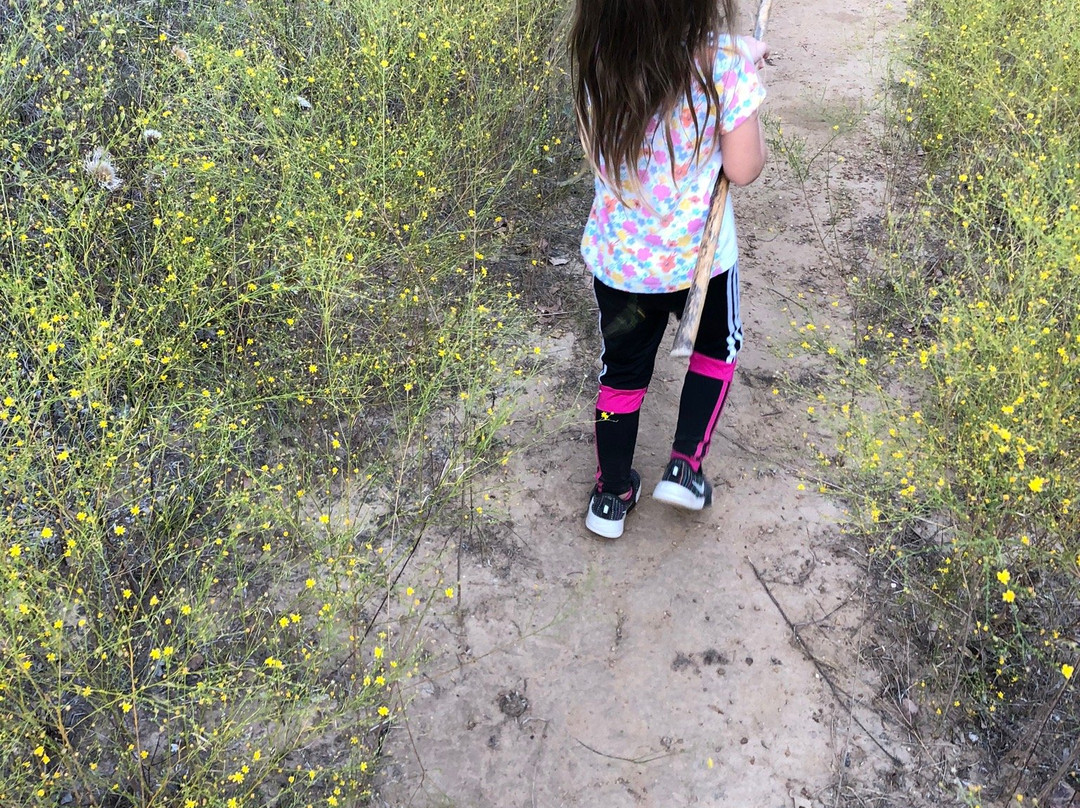 Endeavor Bridgeport Adventure Park