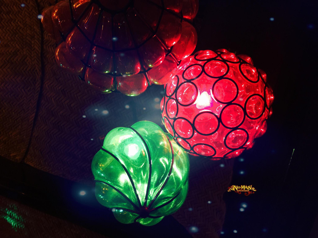 Mr. Flamingo-瓦拉塔港必去景点