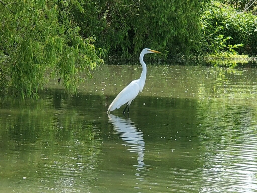 Mission Adventure Tours-圣安东尼奥市必去景点