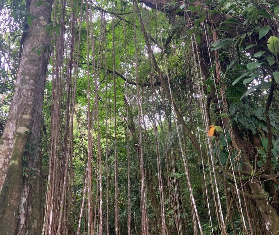 Posada Mar y Rio主图