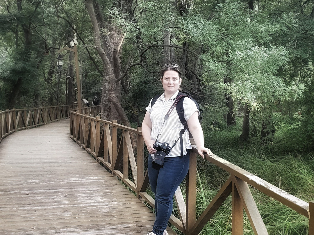 Cakirlar Korusu-Cakirlar Yali必去景点