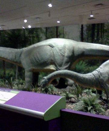 Rochester Museum & Science Center景点门票图片