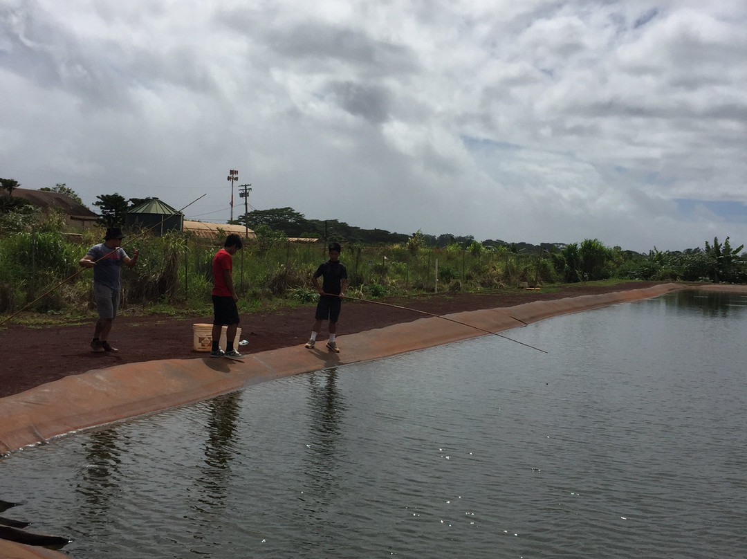 瓦西瓦旅游景点-Ali'i Agriculture Farms