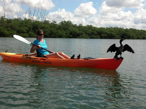 Sea Life Kayak Adventures