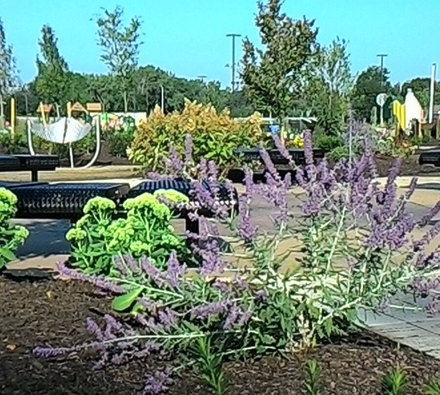 Bolton旅游景点-Charter Oak Park