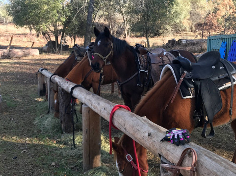 Willow Creek Riding Center-North Fork必去景点