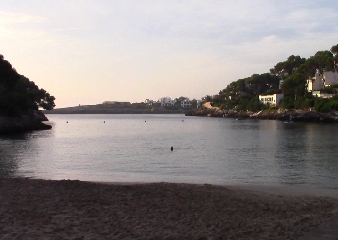 Plage Cala D'or景点图片