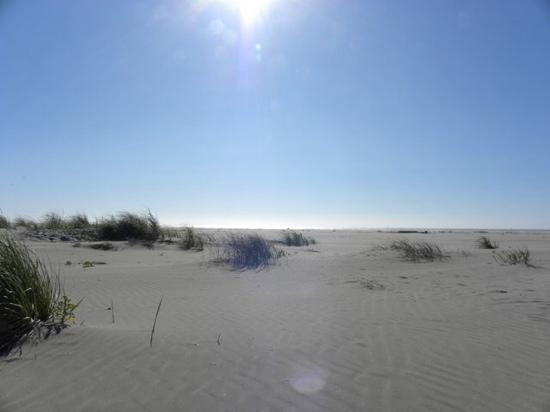 Grayland Beach State Park景点图片