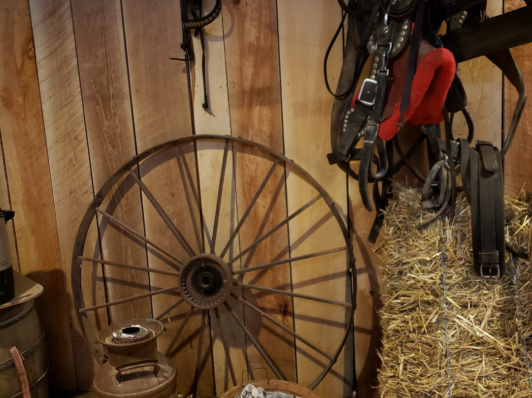 Mount Pleasant旅游景点-Panic in the Woods Escape Game