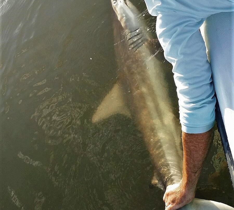 Tall Tide Fishing Adventures-查尔斯顿必去景点