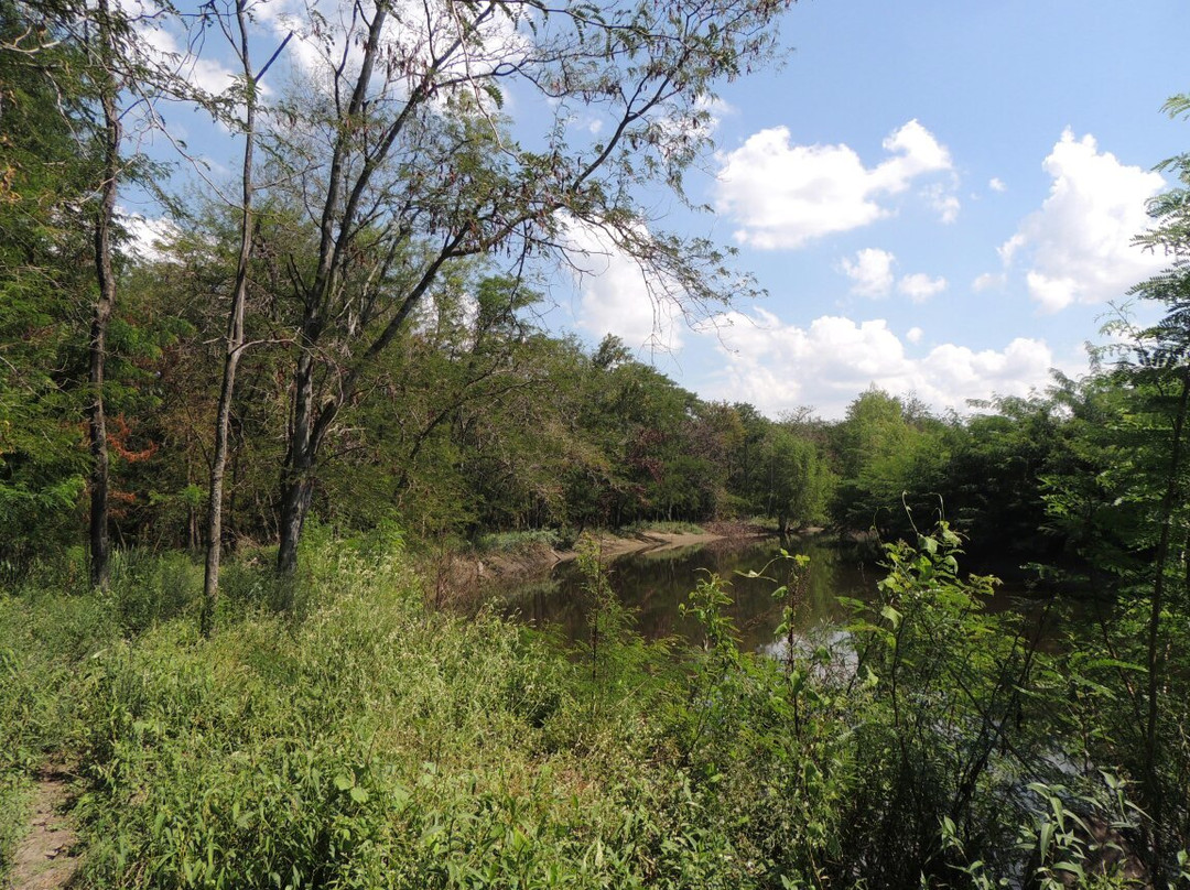 Reserva Natural del Pilar景点图片