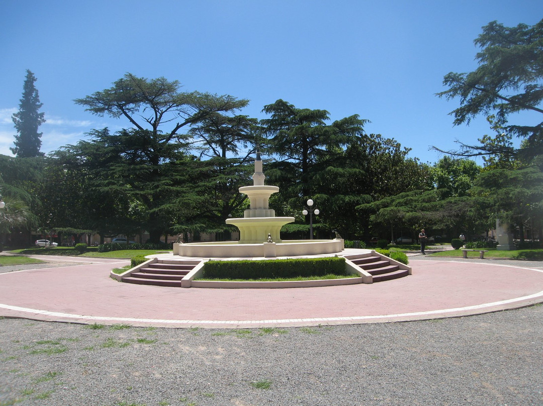 Plaza San Martín景点图片