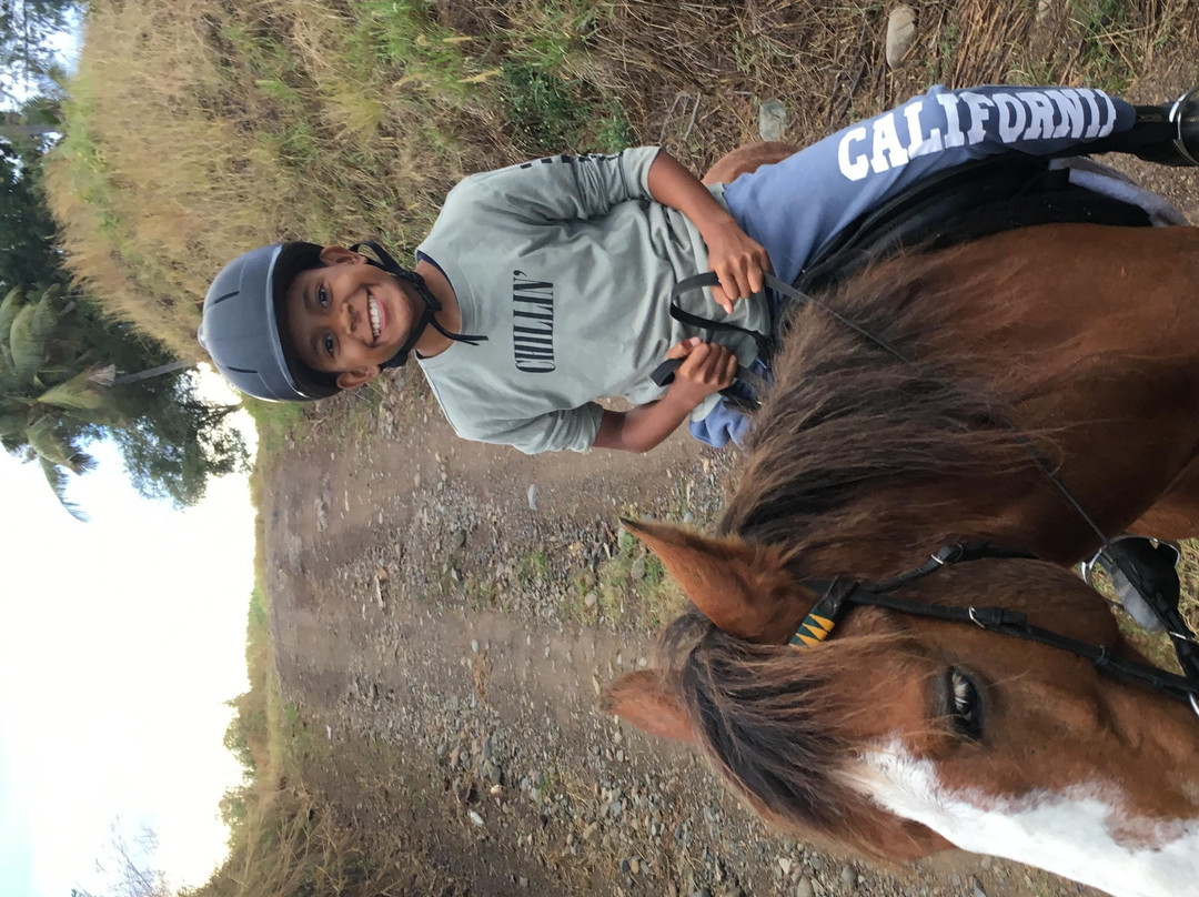 Fiji Horse Treks with Total Wellness Fiji-纳迪市必去景点