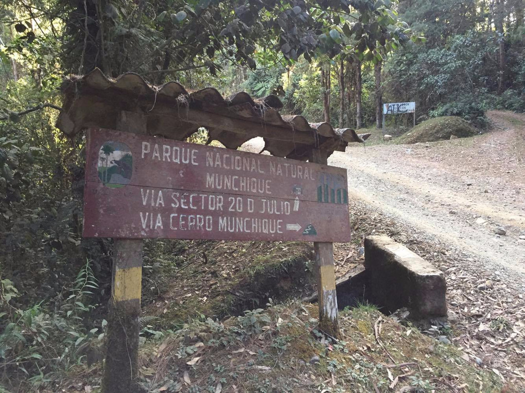 Parque Nacional Natural Munchique景点图片