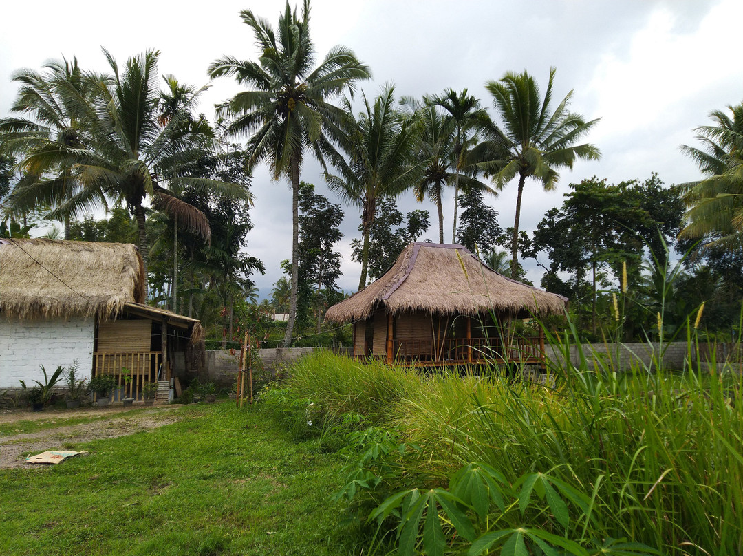 Bunga Homestay主图