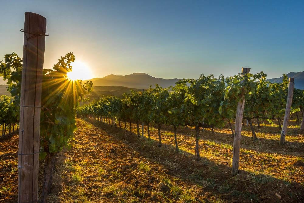 Wine Tours Rupel-梅尔尼克必去景点