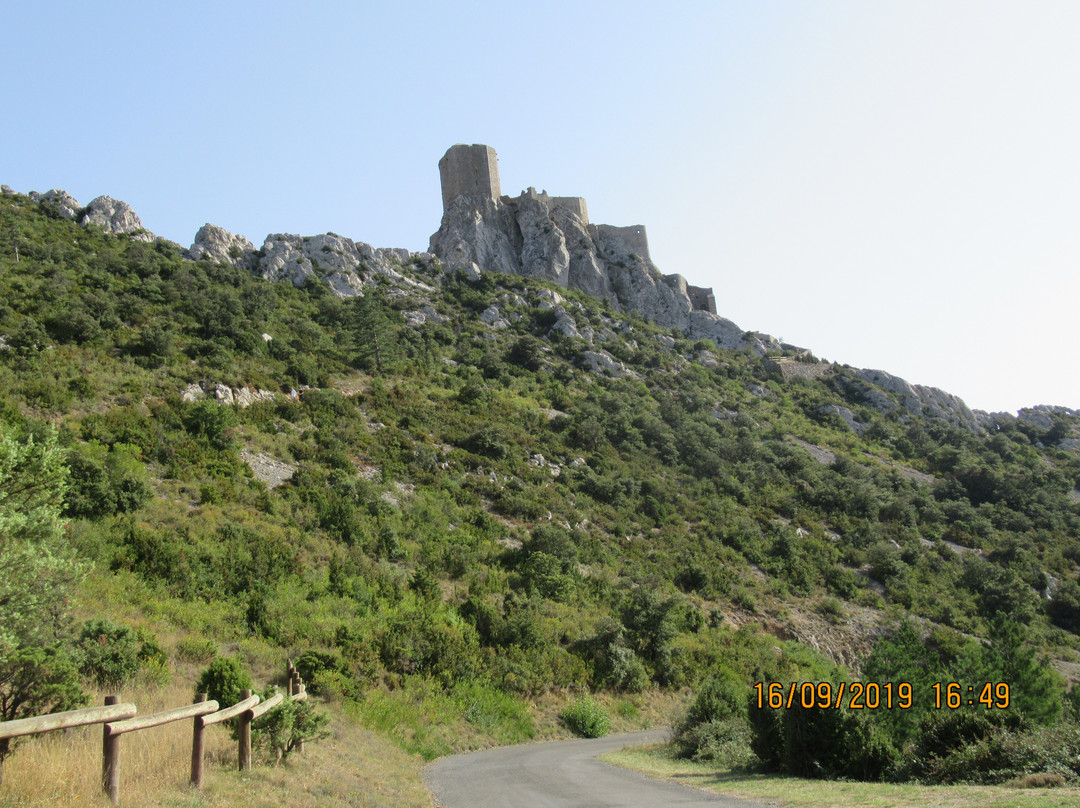 Chateau de Queribus景点图片