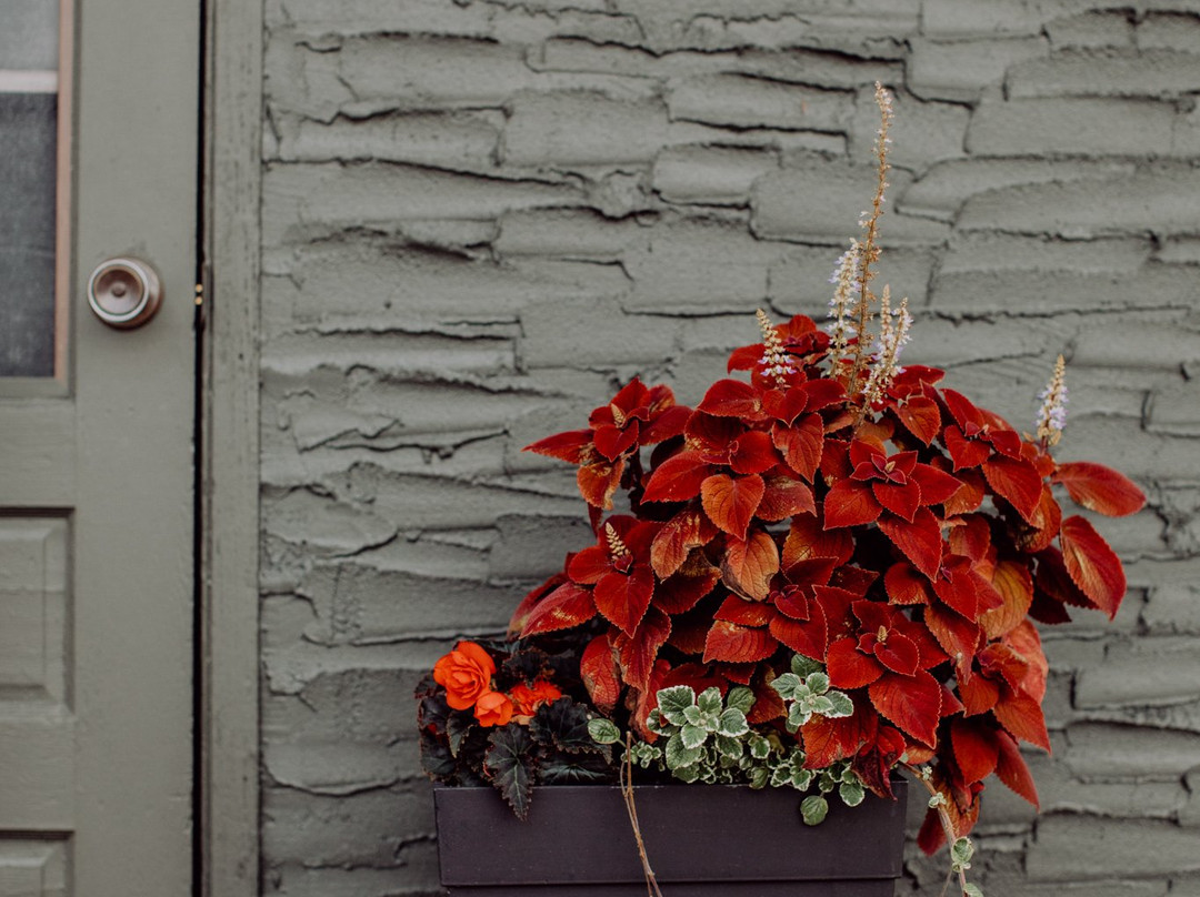 The Bayview Motel主图