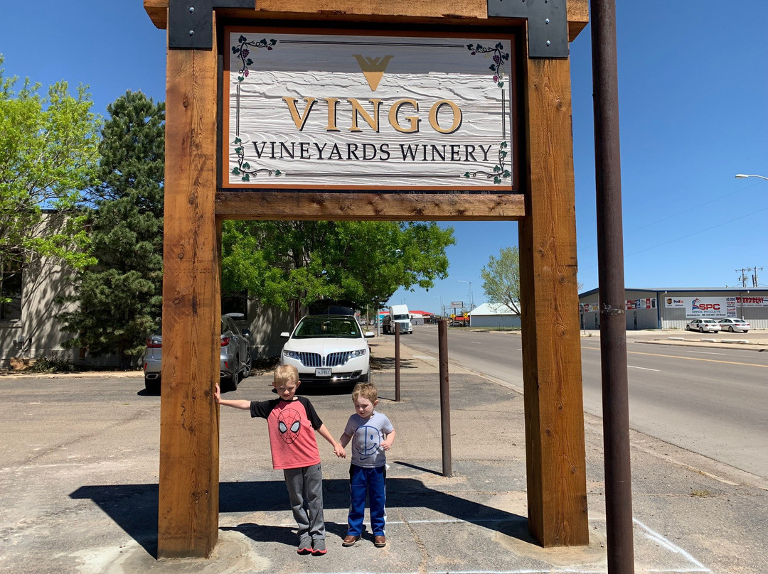 Vingo Vineyards景点图片