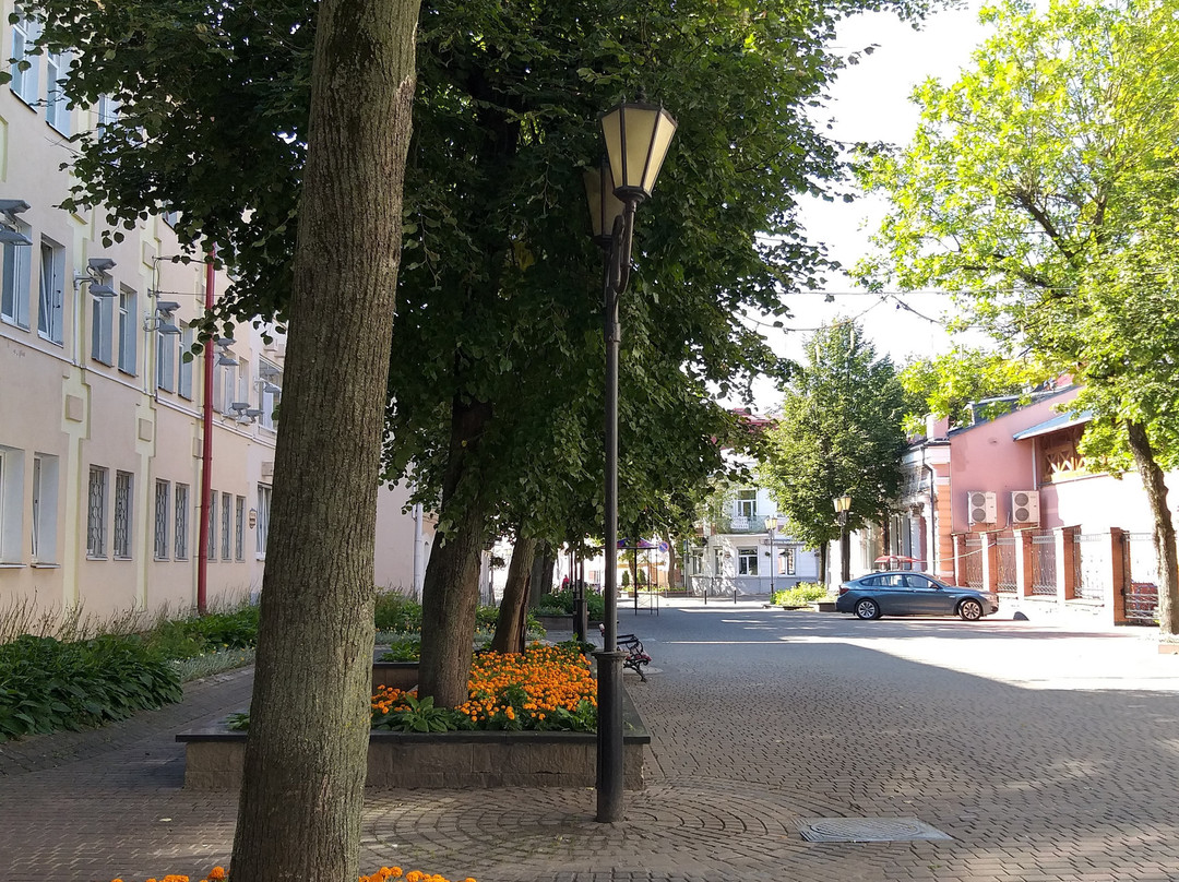 Smart Boutique Hotel Vitebsk主图