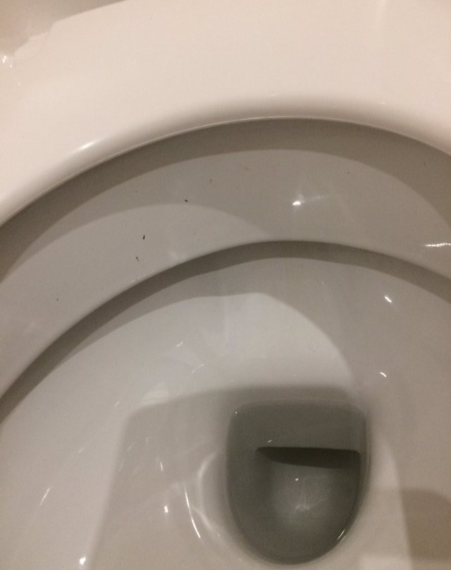 Hotel de France主图