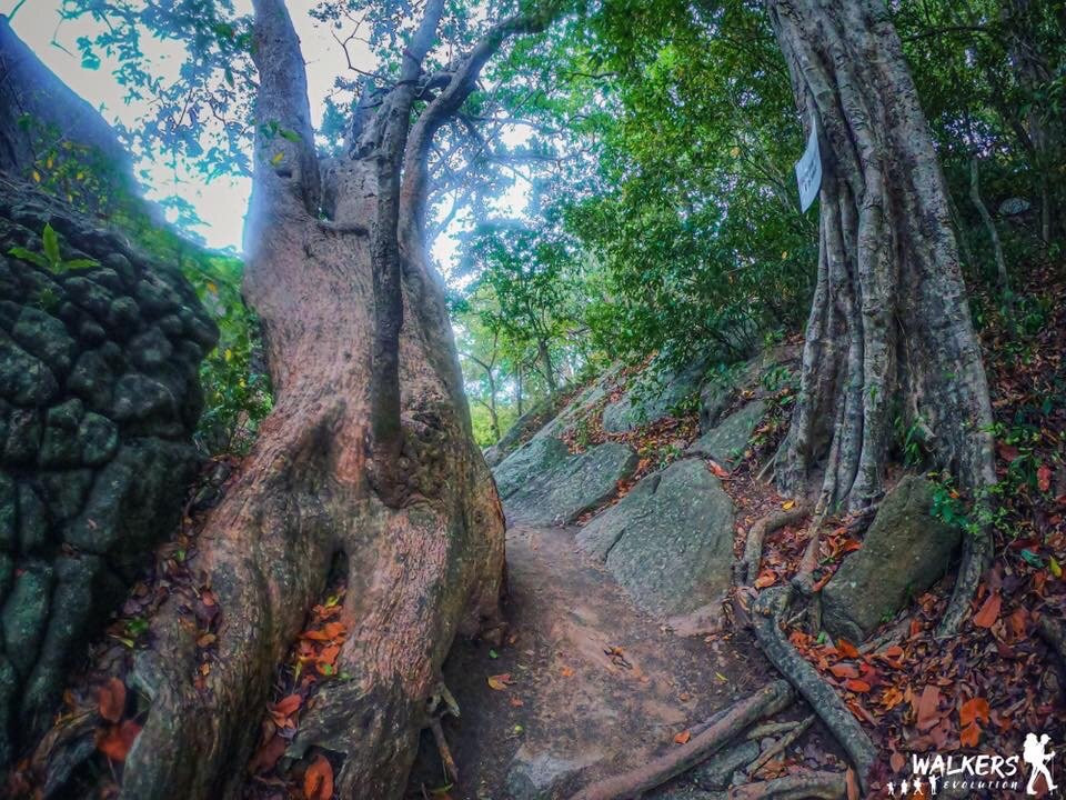 Kudumbigala Monastery-阿鲁甘湾必去景点