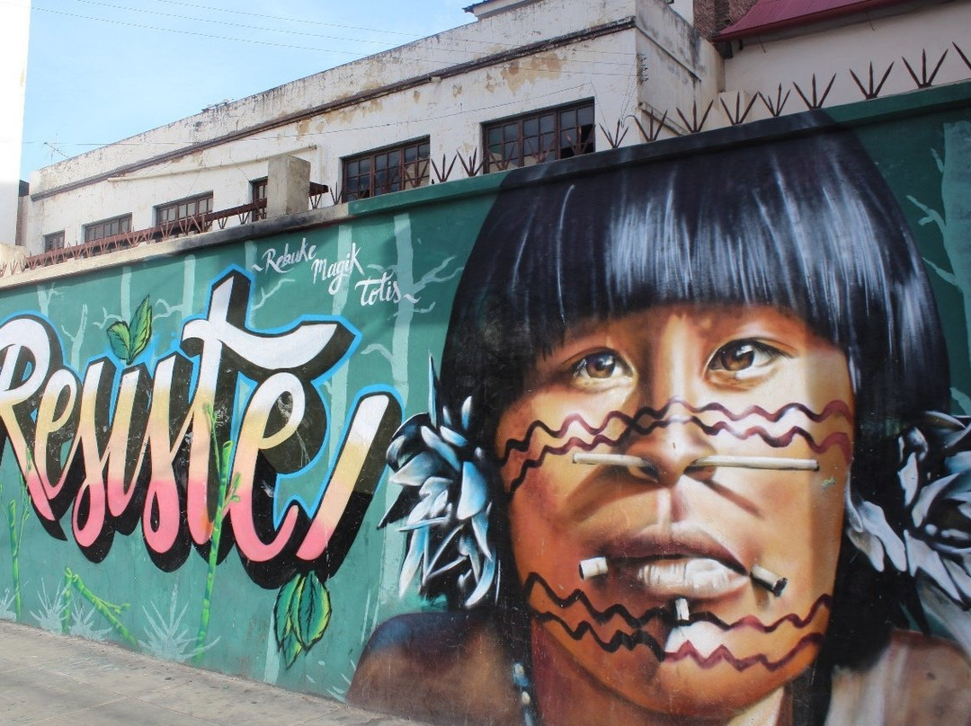 Bike Art Cocha-科恰班巴必去景点