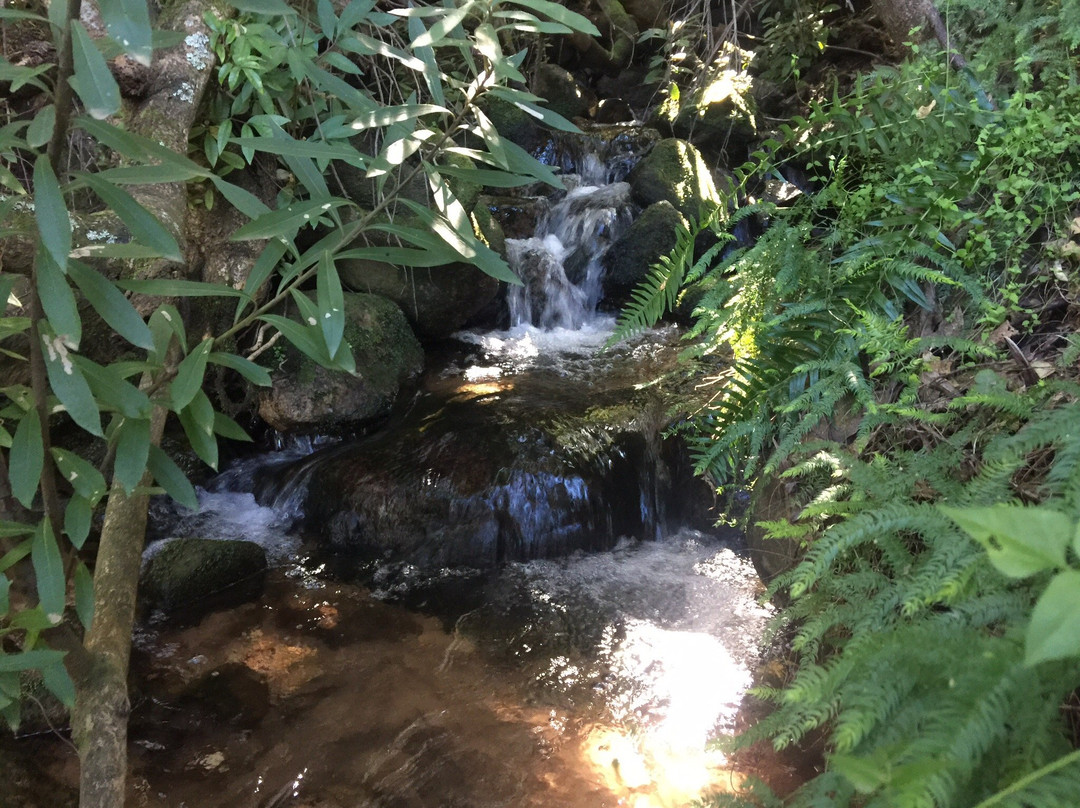 Murludi Farm景点图片