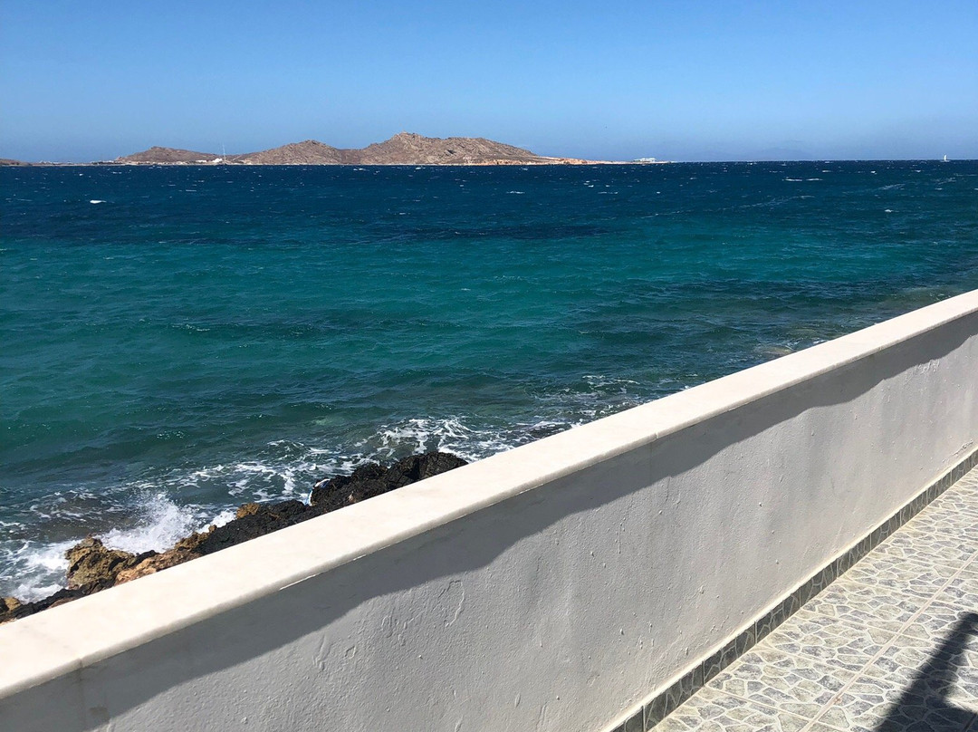 Little Mermaid Studios主图