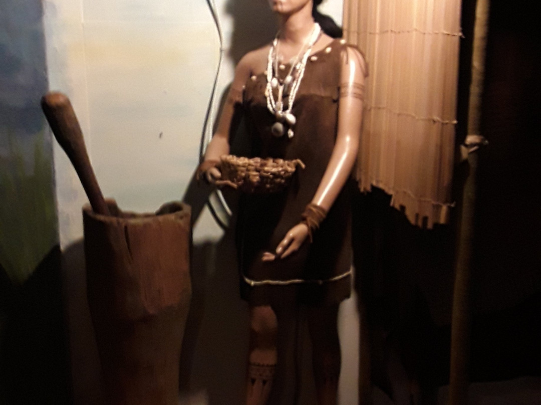 Frisco Native American Museum景点图片