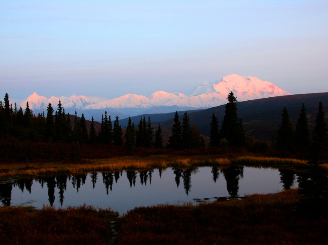 Camp Denali