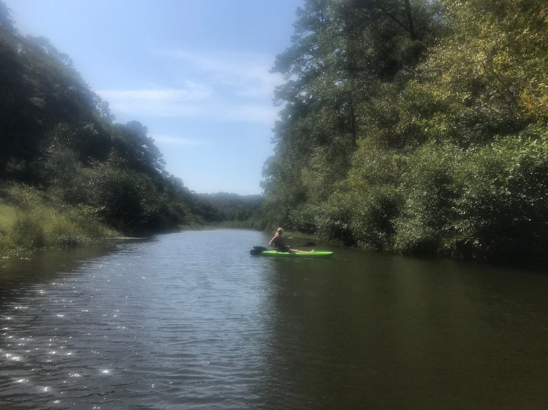 Lake Nicol-塔斯卡卢萨县必去景点