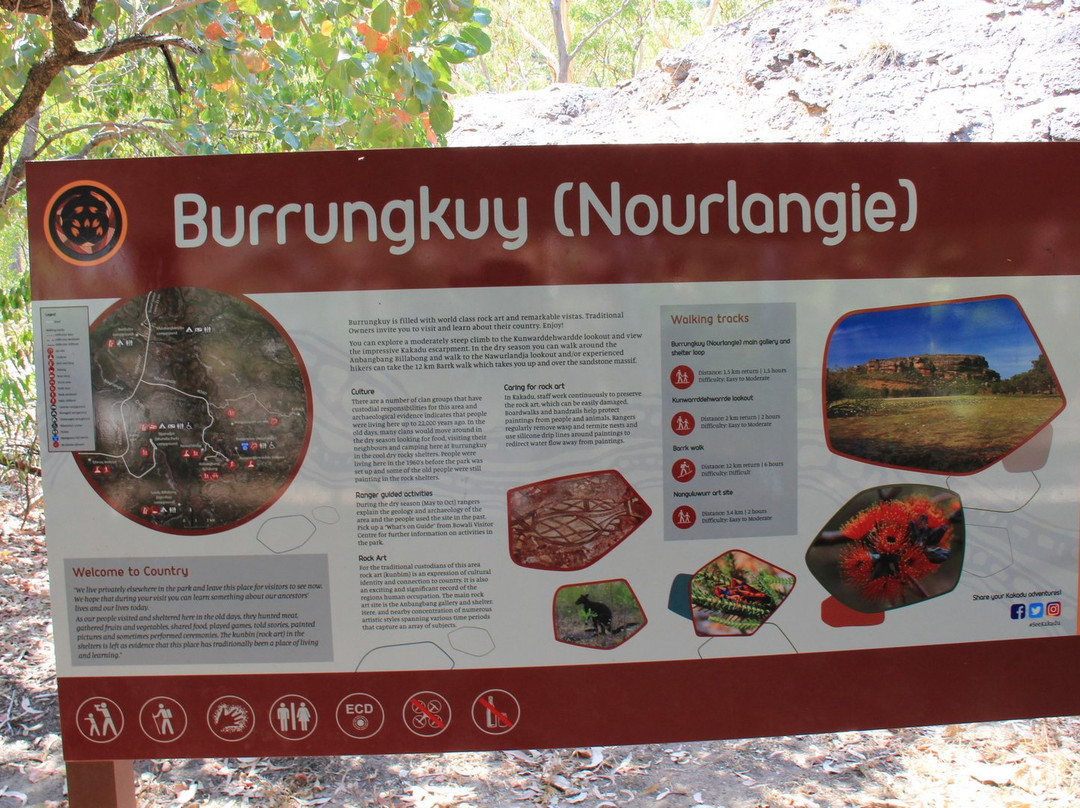 Nanguluwurr Art Site景点图片