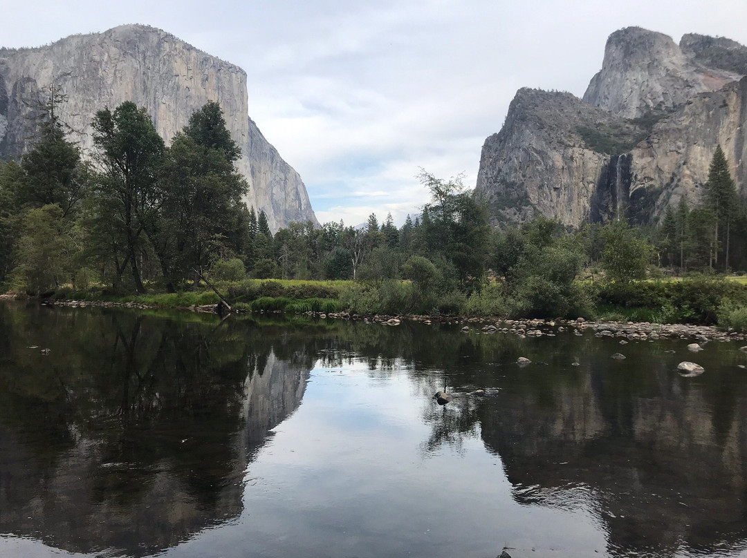 Yosemite Private Tours-优胜美地国家公园必去景点